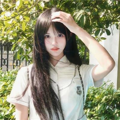 疯狂的狮子海报