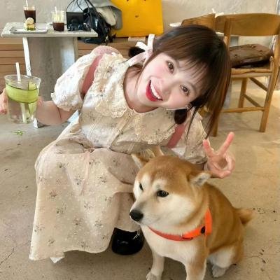 不良动机海报