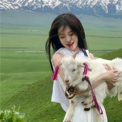 普罗旺斯惊魂记海报